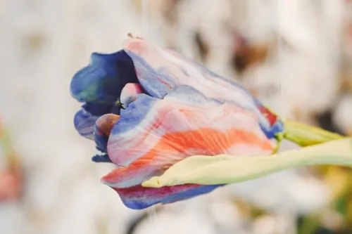 Jess Riva Cooper's I failed to notice, the golden light of dusk.